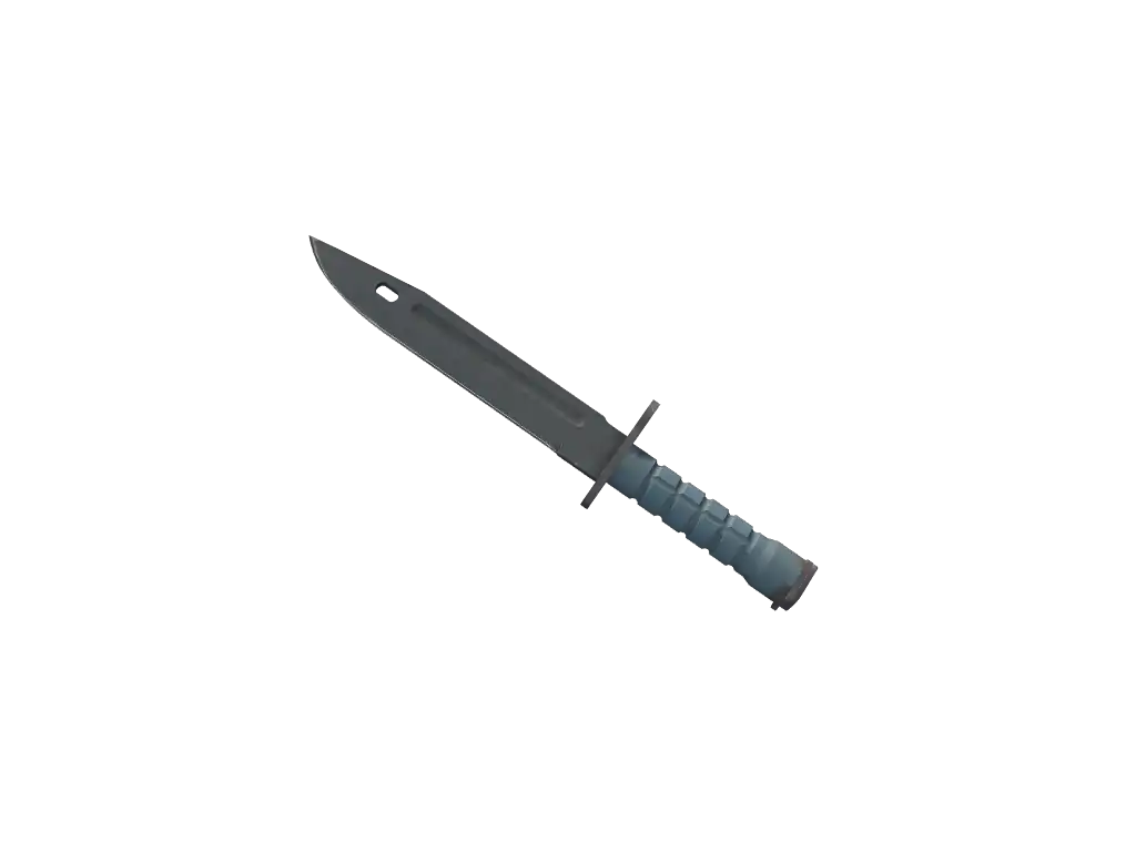 Bayonet | Night