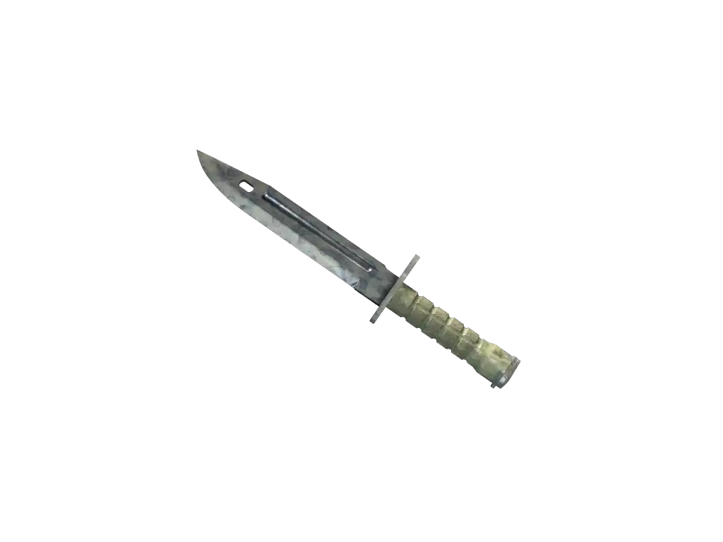 ★ Bayonet | Stained (Well-Worn)