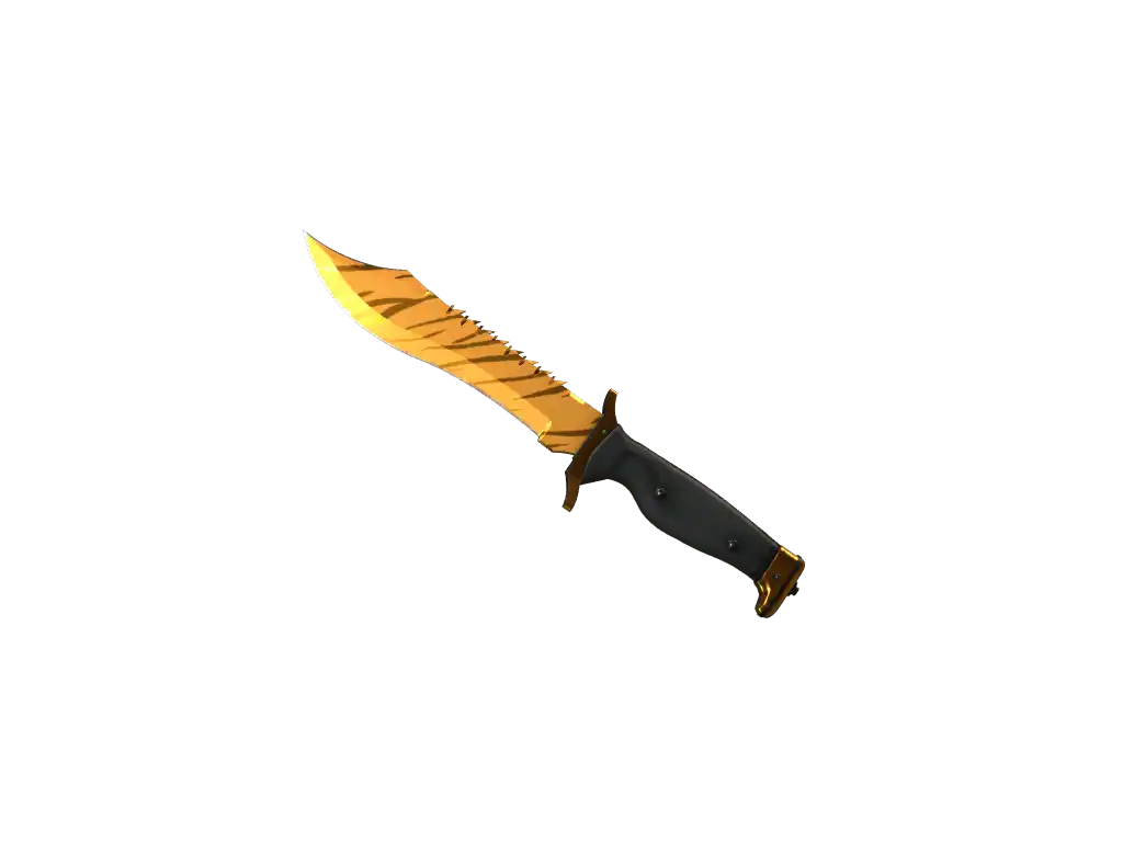 Bowie Knife | Tiger Tooth