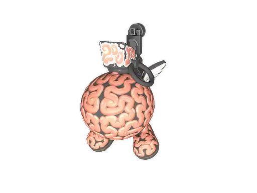 Big Brain Big Brain