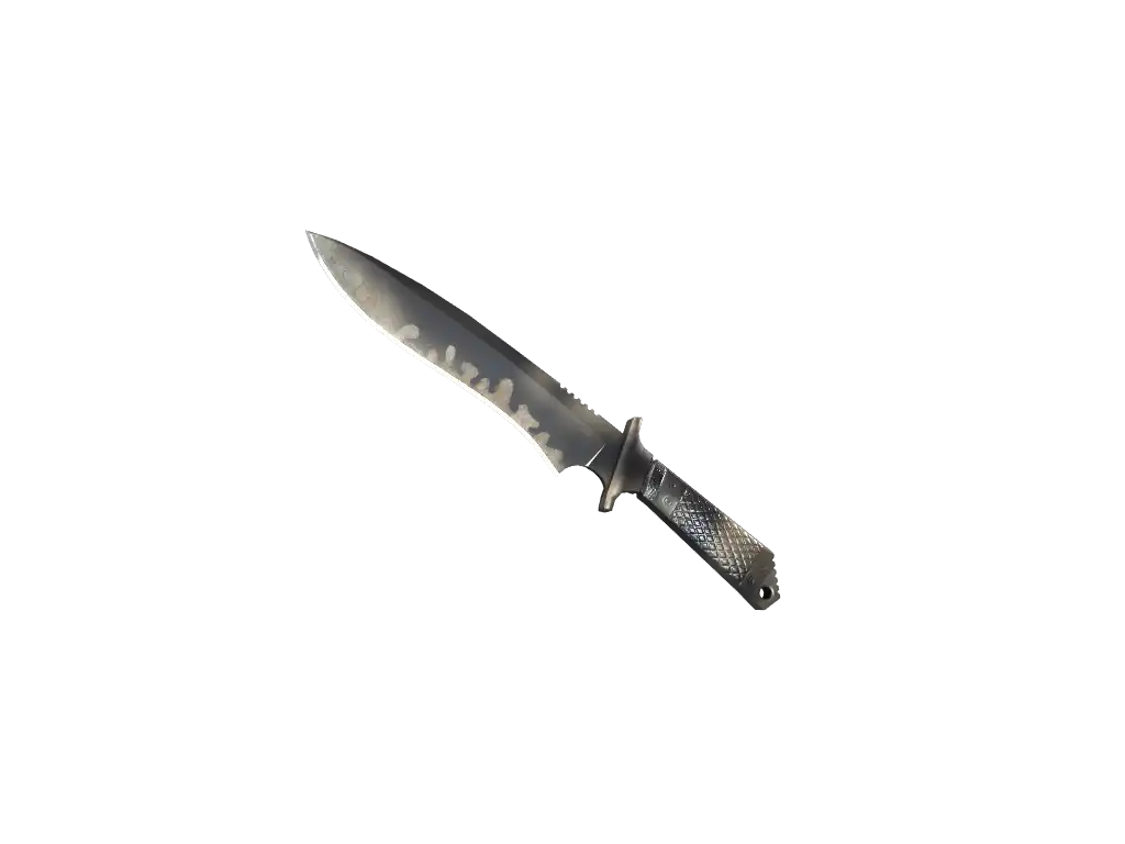 ★ Classic Knife | Scorched (Field-Tested)