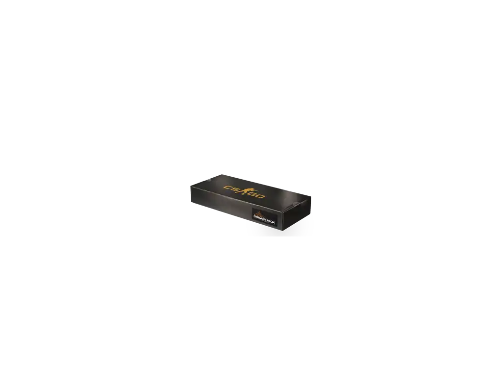 DreamHack 2013 Souvenir Package