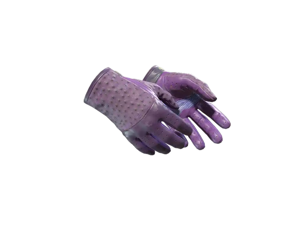 ★ Driver Gloves | Plum Quill (Field-Tested)