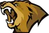 Lynn Vision logo