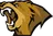 Lynn Vision logo