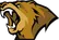 Lynn Vision logo