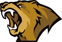 Lynn Vision logo