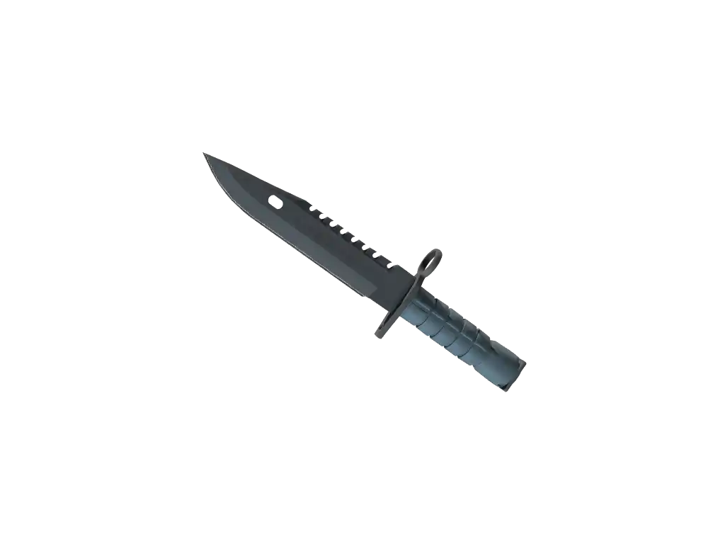 M9 Bayonet | Night