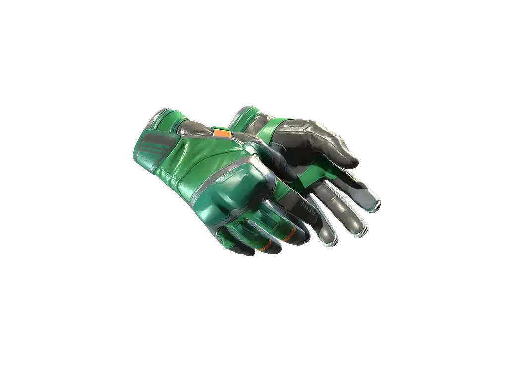 Moto Gloves | Turtle