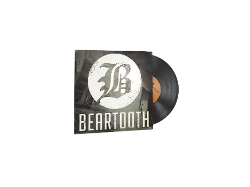 Beartooth, Disgusting