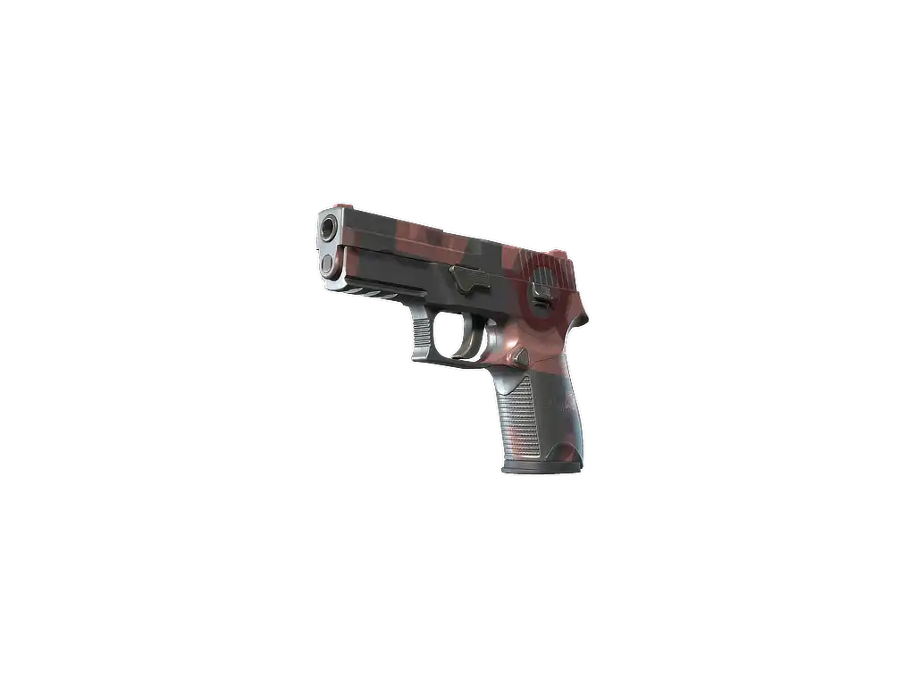 P250 | Constructivist