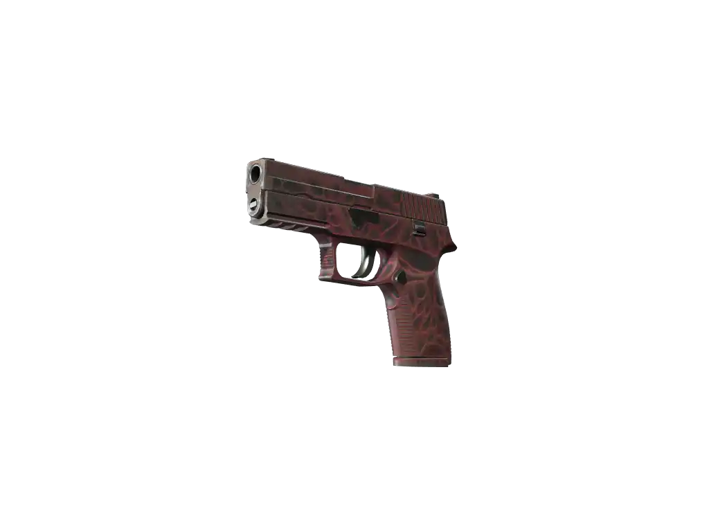 P250 | Contaminant (Field-Tested)