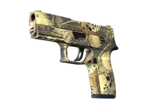 P250 | Contamination