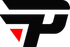 paiN logo