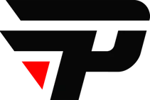 paiN logo