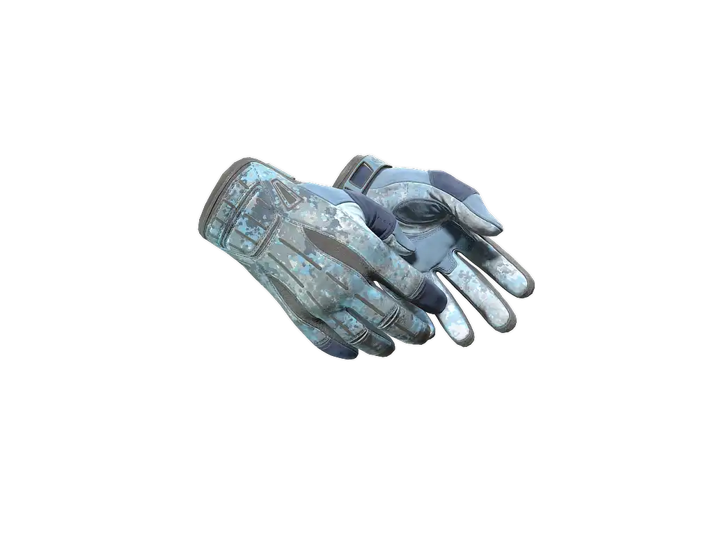 ★ Sport Gloves | Frosty (Field-Tested)