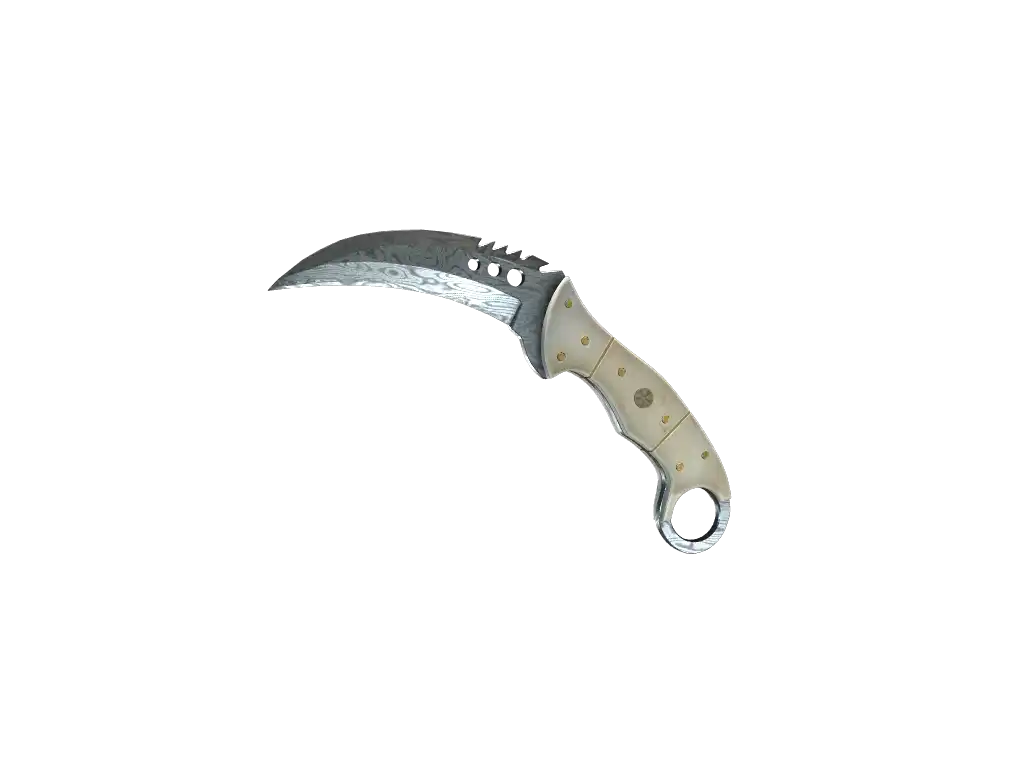 ★ StatTrak™ Talon Knife | Damascus Steel (Field-Tested)
