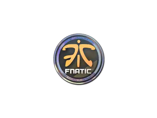 Fnatic (Holo) | Cologne 2014 Fnatic (Holo) | Cologne 2014