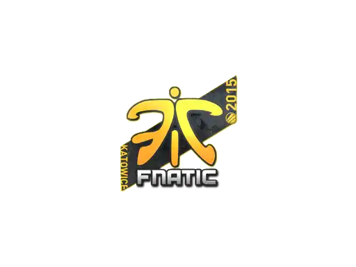 Fnatic | Katowice 2015