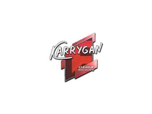 karrigan | Boston 2018 karrigan | Boston 2018