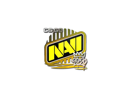 Natus Vincere | 2020 RMR Natus Vincere | 2020 RMR