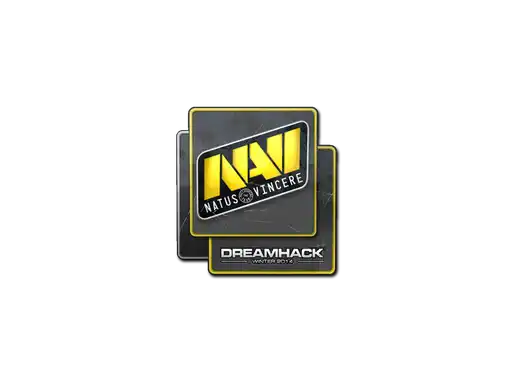 Natus Vincere | DreamHack 2014 Natus Vincere | DreamHack 2014