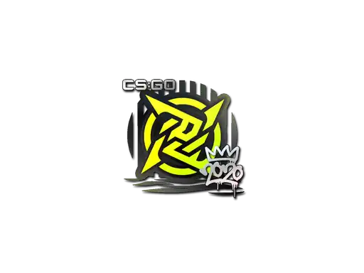 Ninjas in Pyjamas | 2020 RMR