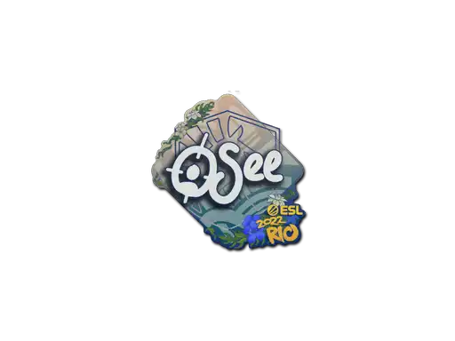 oSee | Rio 2022
