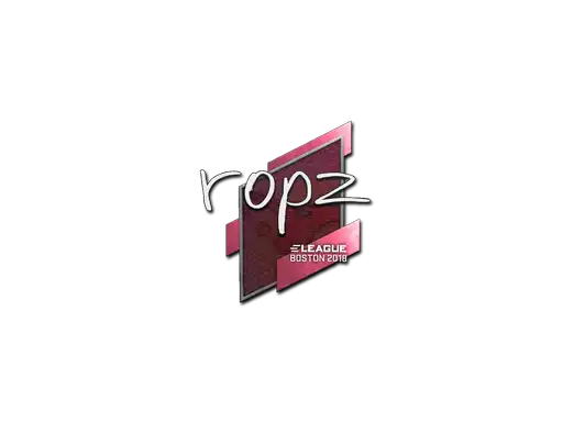 ropz | Boston 2018 ropz | Boston 2018