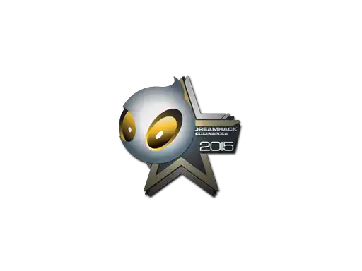 Team Dignitas | Cluj-Napoca 2015