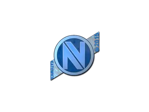 Team EnVyUs (Holo) | Katowice 2015