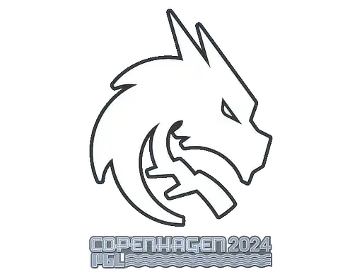 Team Spirit | Copenhagen 2024 Team Spirit | Copenhagen 2024