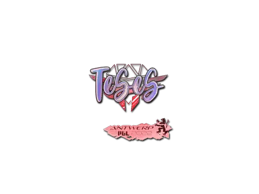 TeSeS (Holo) | Antwerp 2022