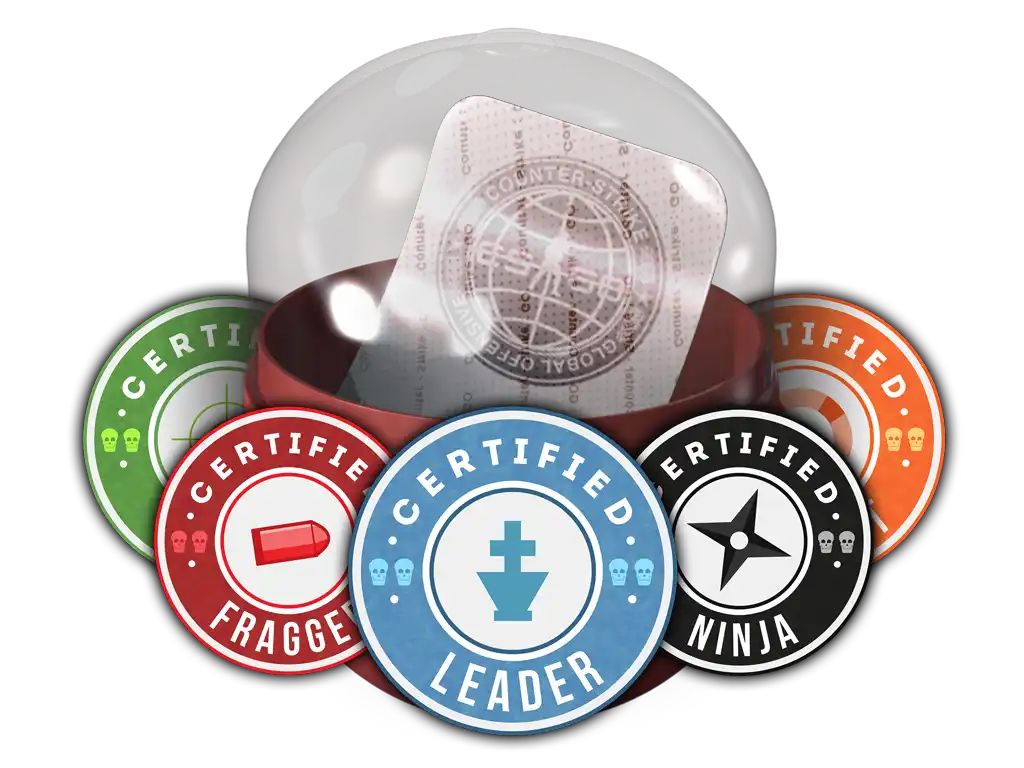Team Roles Capsule Team Roles Capsule
